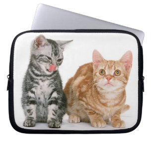 Capa Para Notebook Americano Shorthair