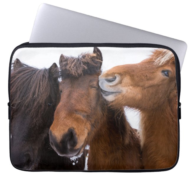 Capa Para Notebook Amigos do cavalo islandês, Islândia (Frente)