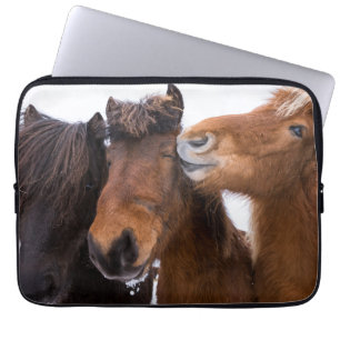 Capa Para Notebook Amigos dos Cavalos Islandeses, Islândia
