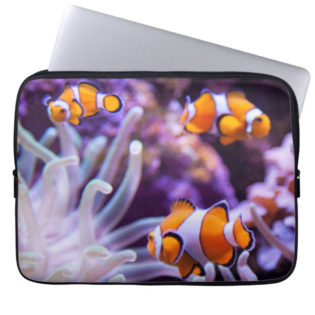 Capa Para Notebook Amphiprion Ocellaris de Ocellaris Clownfish | (Frente)