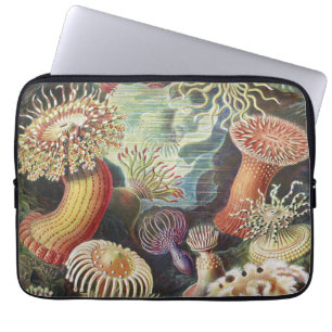 Capa Para Notebook Anêmonas do Mar, Actiniae Seeanemonen Ernst Haeck