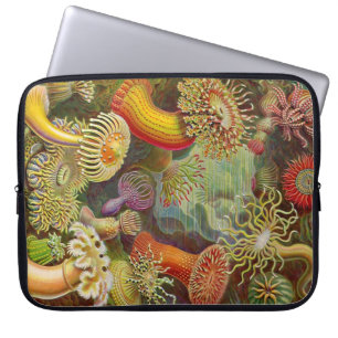 Capa Para Notebook Anemonas Vintage Haeckel