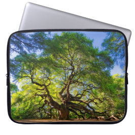 Capa Para Notebook Angel Oak Tree