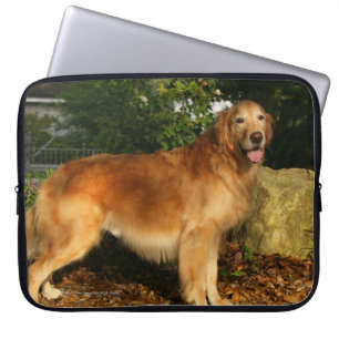 Capa Para Notebook Ânsia do golden retriever