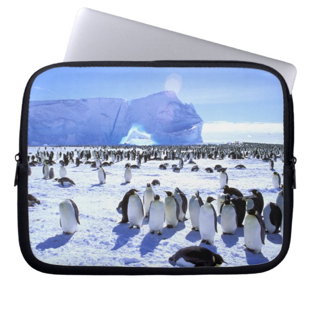 Capa Para Notebook Antártida, Península Antártica, Mar de Weddell, 5 (Frente)