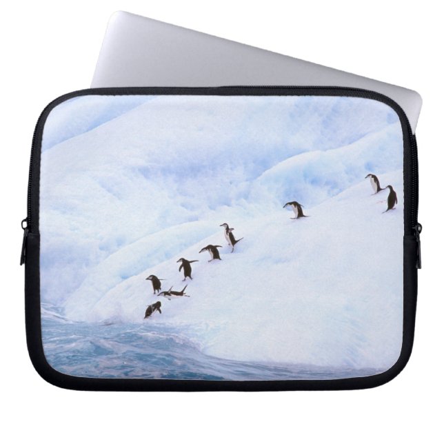Capa Para Notebook Antártida, Península Antártica. Pinguim-de-barbich (Frente)
