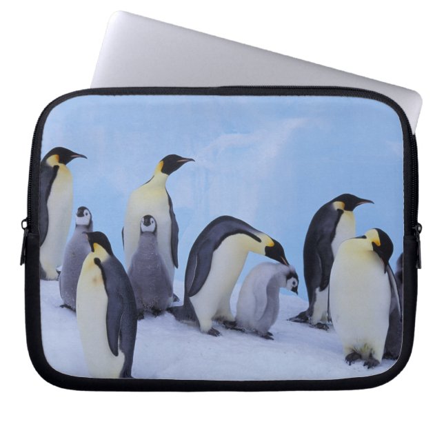 Capa Para Notebook Antártida, Pinguins Imperadores (Frente)