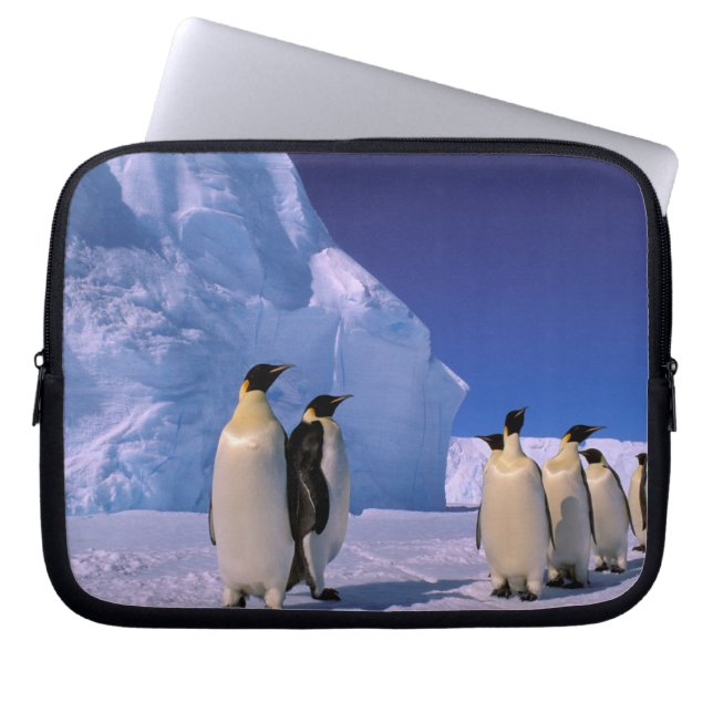 Capa Para Notebook Antártida, Território Antártico Australiano, 7 (Frente)