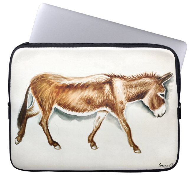 Capa Para Notebook Apenas um burro (Frente)