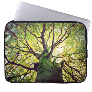 Capa Para Notebook Aperto da árvore