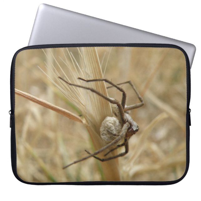 Capa Para Notebook Aranha e Laptop do saco de ovos (Frente)