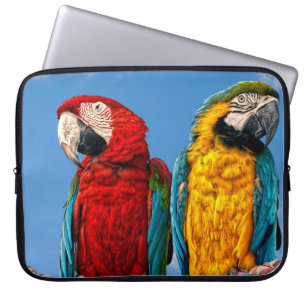 Capa Para Notebook Arara azul e amarela e arara-escarlate
