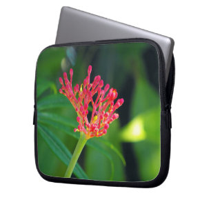 Capa Para Notebook arbusto de coral em flor