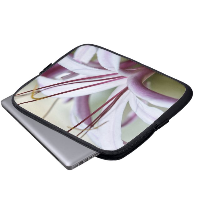 Capa Para Notebook Arte Fotográfico Botânico de Flor de Lírio Rosa Su (Frente Inferior)