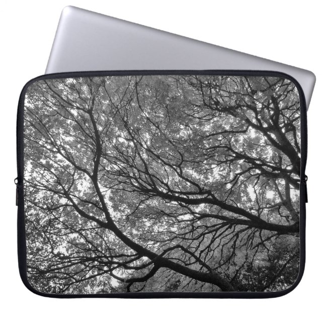 Capa Para Notebook Árvore Canopy III, Bute Park, Cardiff (Frente)