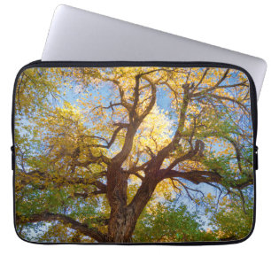 Capa Para Notebook Árvore Cottonwood   Parque Nacional Capitol Reef, 
