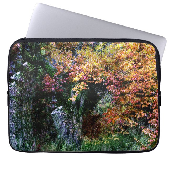 Capa Para Notebook Árvore de Carvalho Antiga....... (Frente)