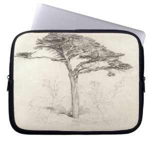 Capa Para Notebook Árvore de cedro velha no jardim botânico, Chelsea,