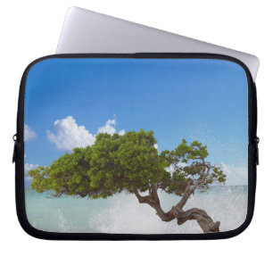 Capa Para Notebook Árvore Divi Divi, Praia Eagle, Aruba, Caribe