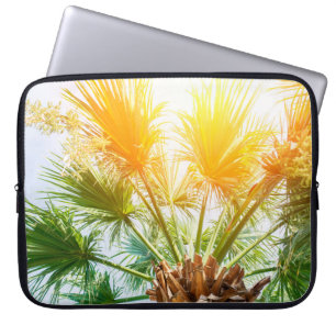 Capa Para Notebook Árvore palmeira brilhante fundo de verão. tropical