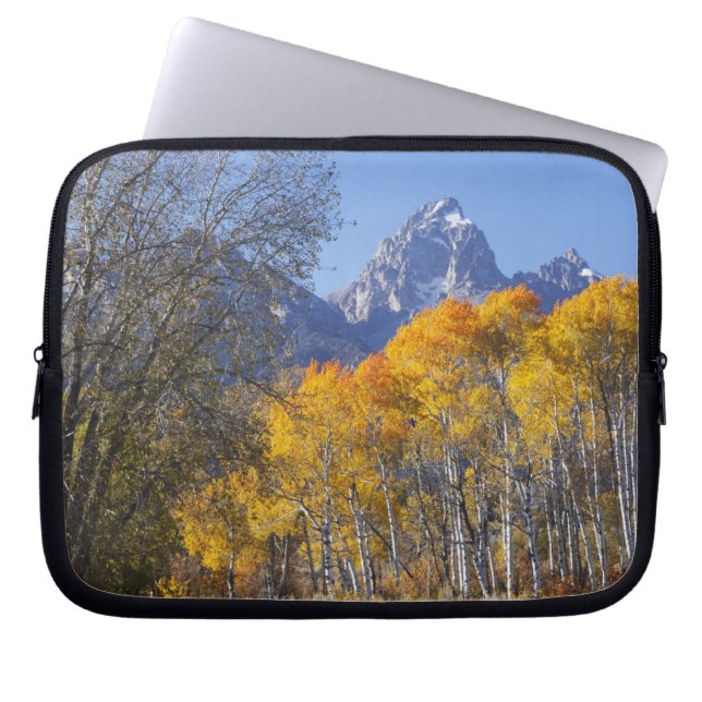 Capa Para Notebook Árvores de Aspen com a cordilheira Teton (Frente)