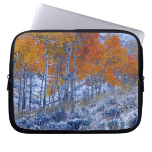 Capa Para Notebook Árvores de Aspen em cores de outono, Montanhas Big