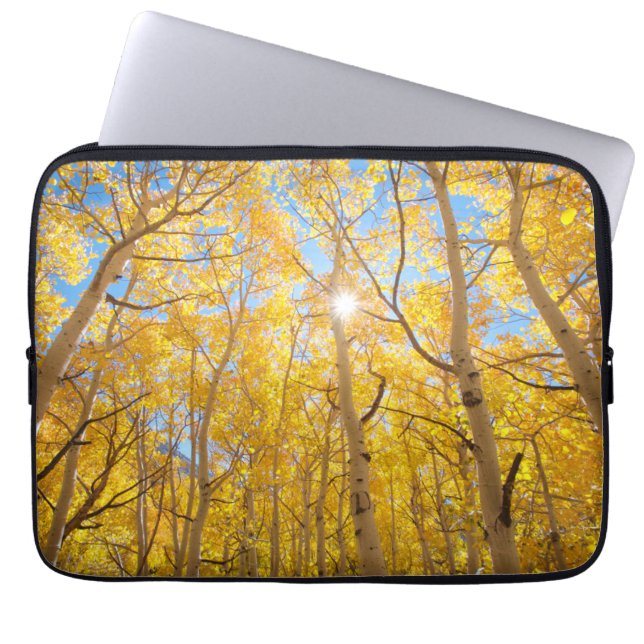 Capa Para Notebook Árvores de Aspen | Montanhas Sierra Nevada, CA (Frente)