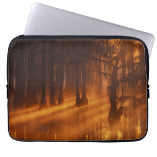 Capa Para Notebook Árvores de Cipreste Parque Estadual George Smith