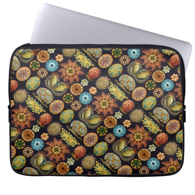 Capa Para Notebook As maravilhas oceânicos de Ernst Haeckel (Frente)