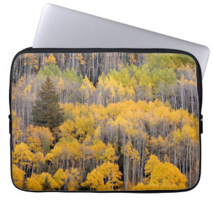 Capa Para Notebook Aspen Árvores Floresta Nacional do Rio Branco