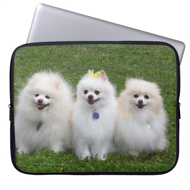 Capa Para Notebook Assento de 3 Pomeranians (Frente)