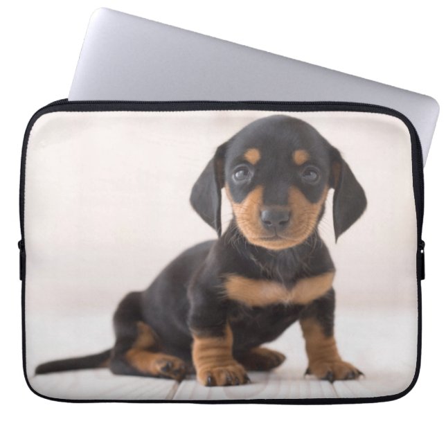 Capa Para Notebook Assento diminuto do Dachshund (Frente)