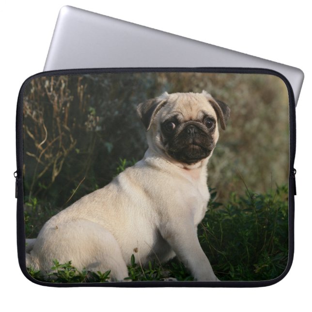 Capa Para Notebook Assento do filhote de cachorro do Pug da jovem (Frente)