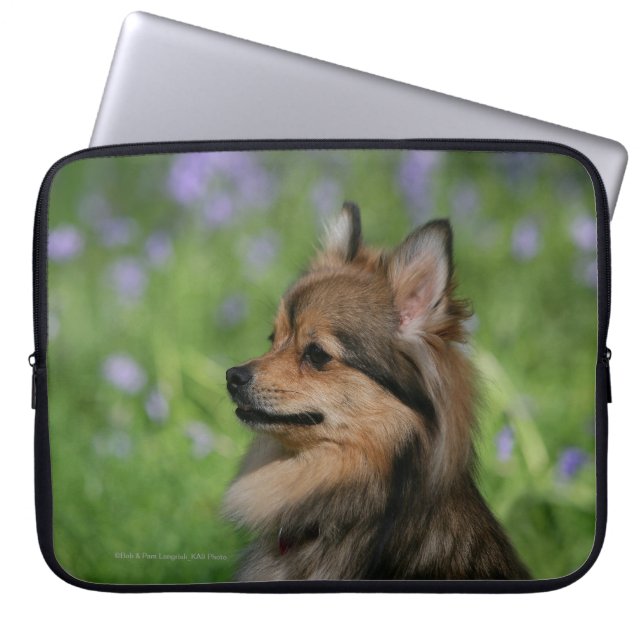Capa Para Notebook Assento do Headshot de Pomeranian (Frente)
