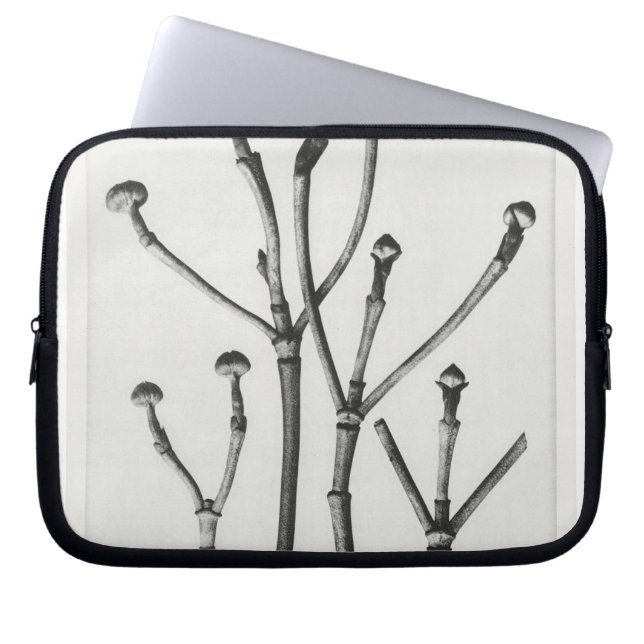 Capa Para Notebook Au Naturel Impressão botânico (Frente)