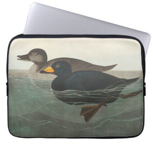 Capa Para Notebook Audubon American Scoter Duck Classic