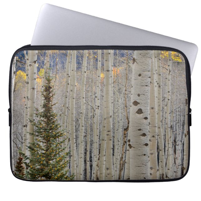 Capa Para Notebook Autumn Aspen Groves | Montanhas Colorado Rocky (Frente)