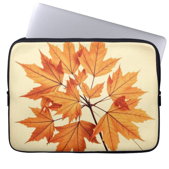 Capa Para Notebook Autumn Maple Leaf Print: Fall Foliage (Frente)