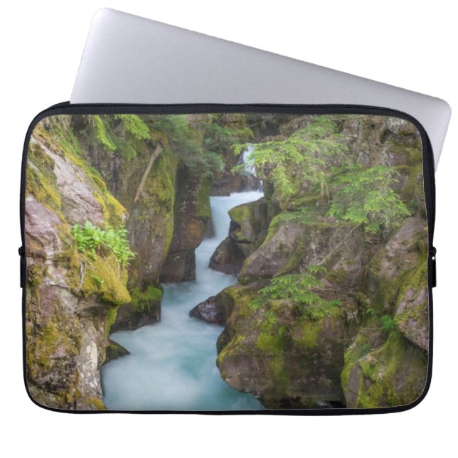 Capa Para Notebook Avalanche Creek, Parque Nacional Glacier, Montana (Frente)