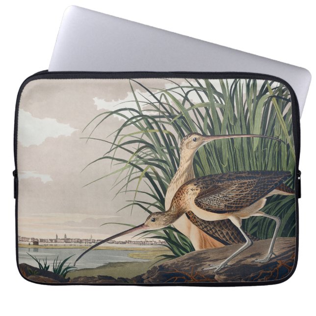 Capa Para Notebook Ave-do-relvado-de-bico-longo-Audubon (Frente)