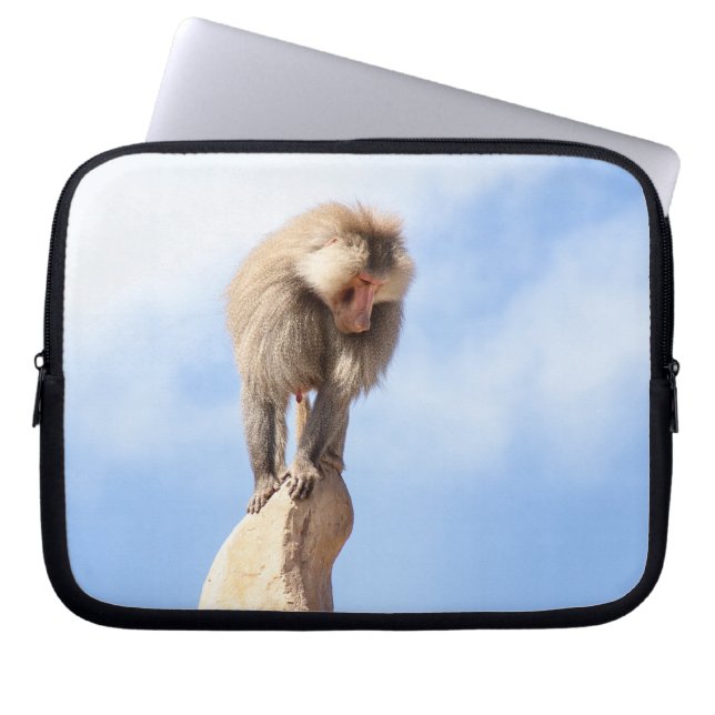 Capa Para Notebook Babuíno no topo de uma montanha (Frente)