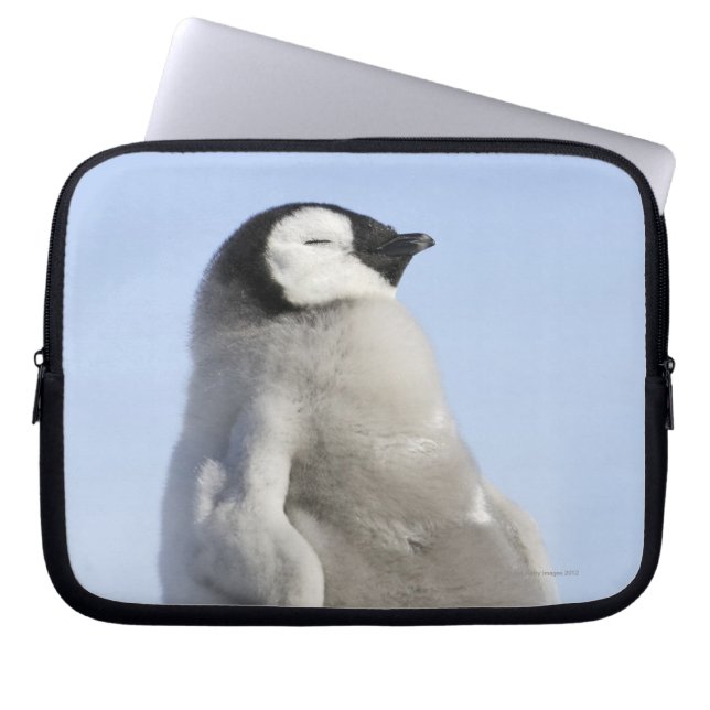 Capa Para Notebook Baby Imperor Penguin, Ilha Snow Hill (Frente)
