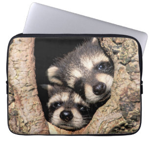 Capa Para Notebook Baby Raccoons saindo da árvore