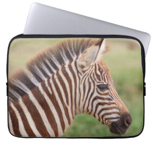 Capa Para Notebook Baby zebra head, Tanzânia