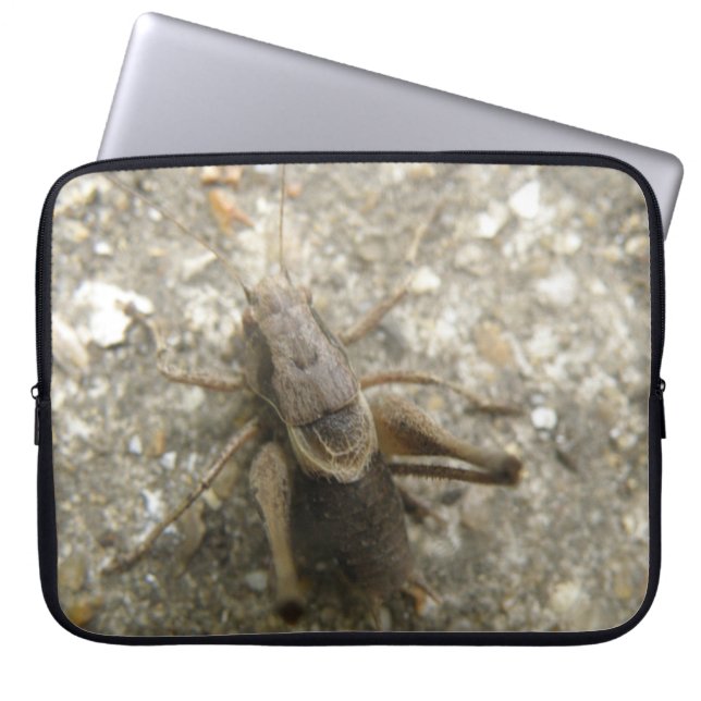 Capa Para Notebook Bag de Laptop de Críquete de Campo Castanho (Frente)