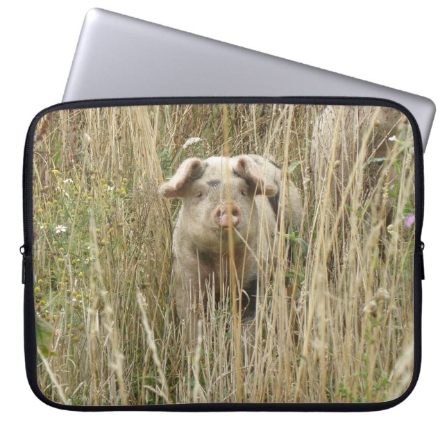 Capa Para Notebook Bag de Laptop de Porco Bonito (Frente)