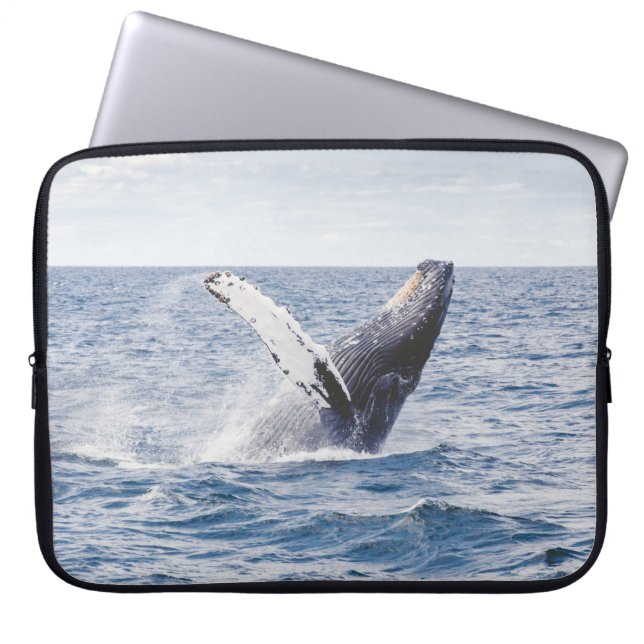 Capa Para Notebook Baleia Gigante Salta Para Fora Do Oceano (Frente)
