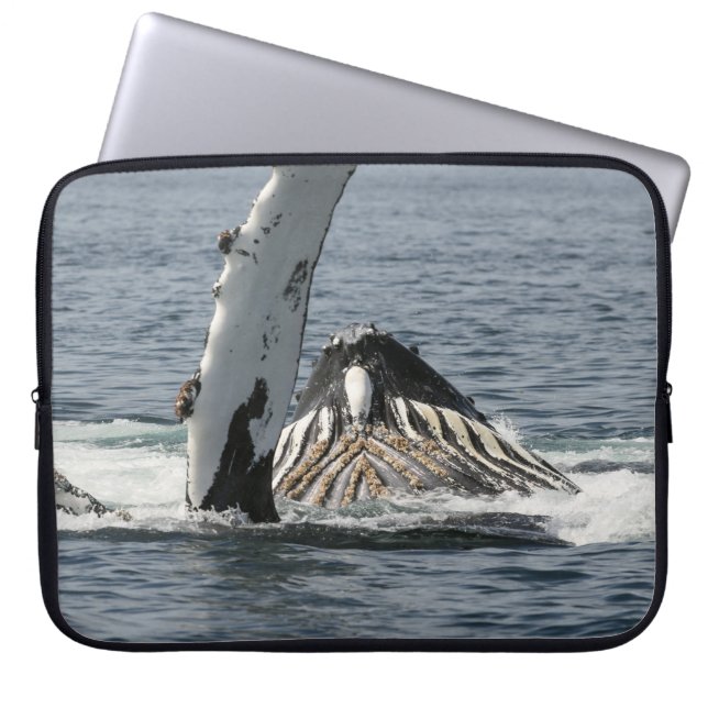 Capa Para Notebook Baleia-jubarte (Frente)