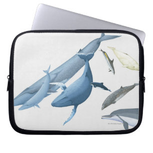 Capa Para Notebook Baleias