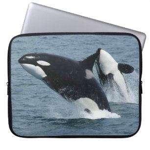 Capa Para Notebook Baleias Assassinas de Orca Quebrando